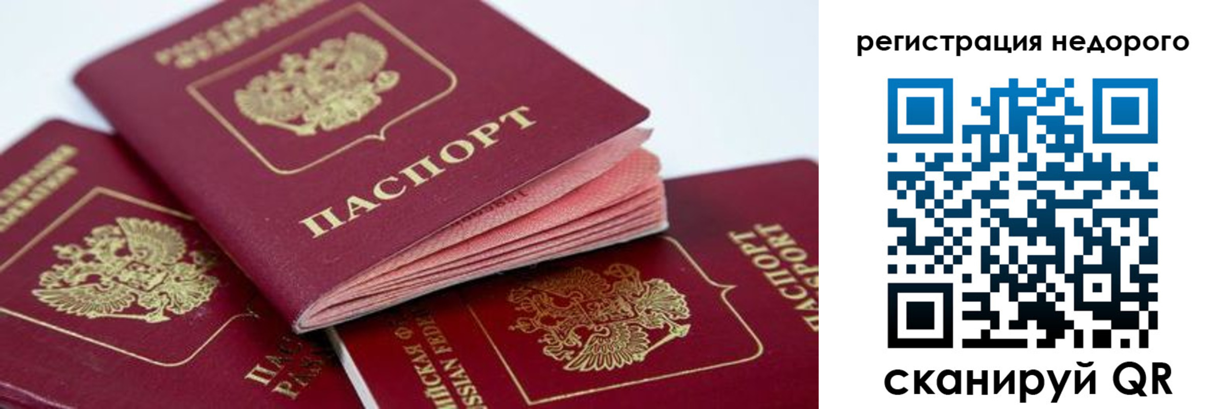где прописаться в Мончегорске
